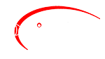 design space logo